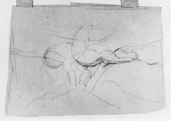 Sketch of a Snake in a Tree