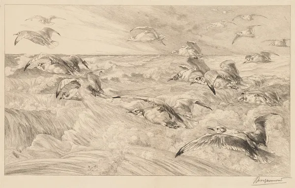 Seagulls (Les Mouettes)