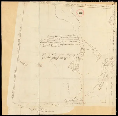 Plan of Parsonsfield, surveyor's name not given, dated May 10, 1795.