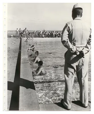 p. 31