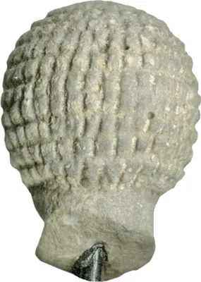 p. 3