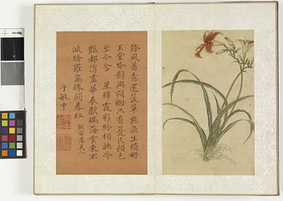 p. 11