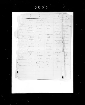 p. 32