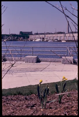 Looking towards Charlestown, Bunker Hill Monument in background