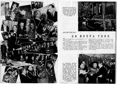 p. 11