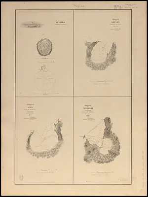 Apolima, Samoan Group ; Harbour of Oafonu, Isld. of Tutuila, north side ; Harbour of Aur, Isld. of Tutuila, north side ; Harbour of Fungasar, north side, Island of Tutuila