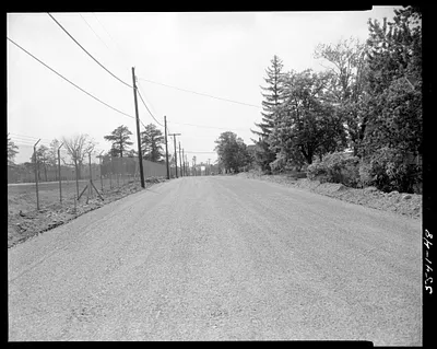 Road and telephone poles