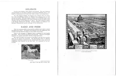 p. 10