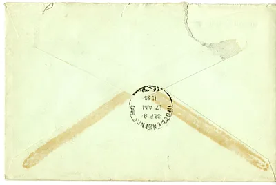 p. 6