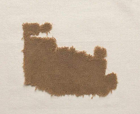 Wool Fragment