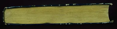 p. 8