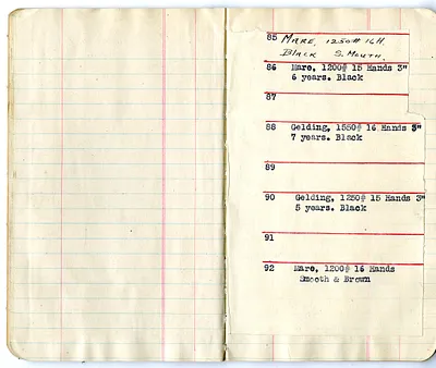 p. 11