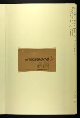 p. 8
