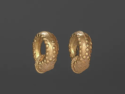 Pair of Earrings