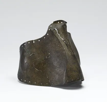 Ankle Guard