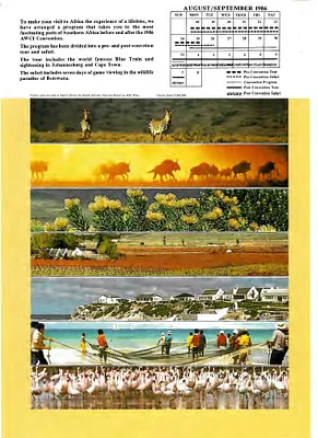 p. 59