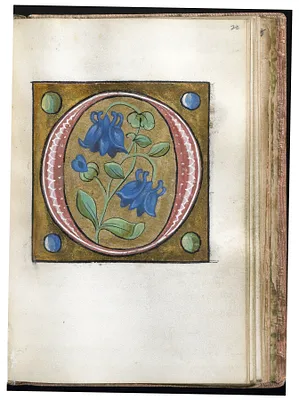 Leaf from Alphabet Book