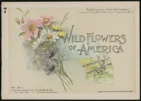 Wild flowers of America : flowers of every state in the American Union. Vol. 1., No. 05