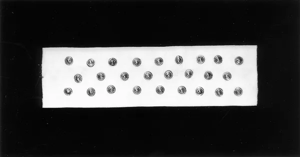 Dress Ornaments