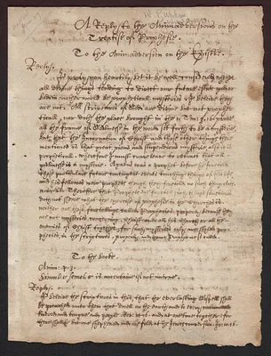 A reply to the animadversions on the treatise of prophesie