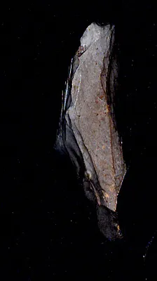 Indian arrowhead from Georgia and North & South Carolina