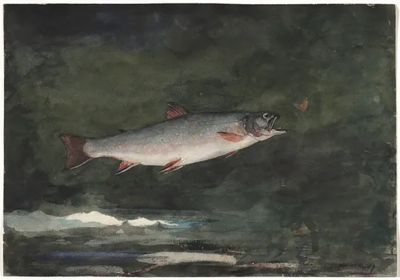 Leaping Trout