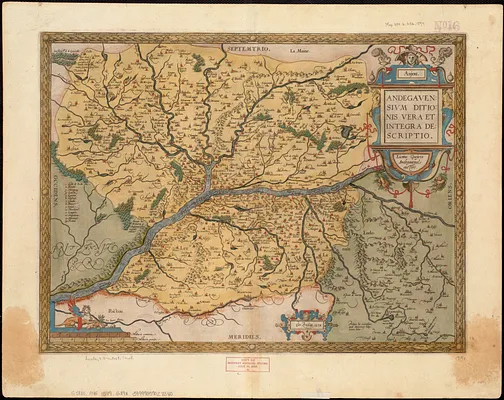 Anjou