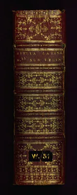 p. 3