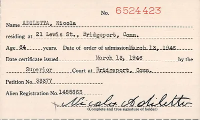 p. 24