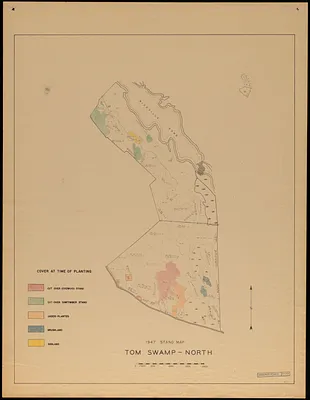 Plantations Tom Swamp North - cover at time of planting 1947