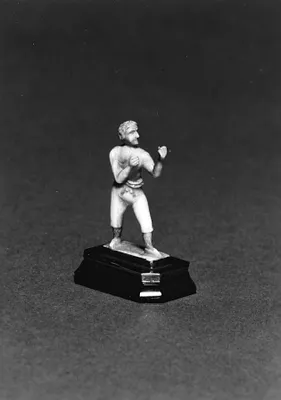 Pugilist