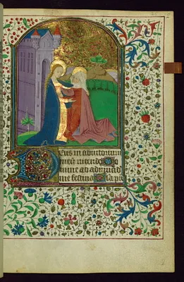 p. 7