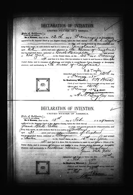 p. 45