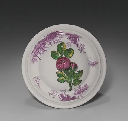 Cover for a Bowl