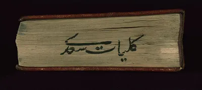 p. 7