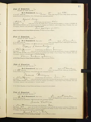 p. 41