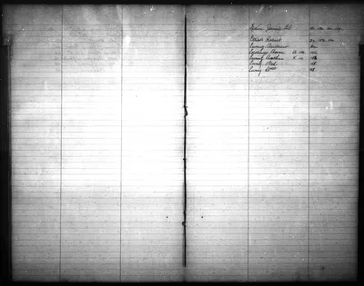 p. 7