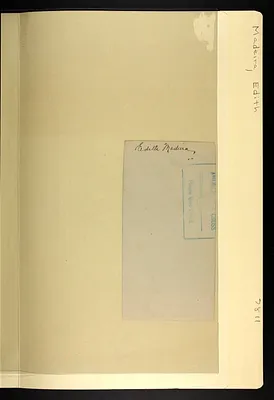 p. 5