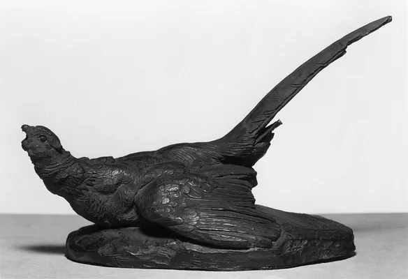 Wounded Pheasant