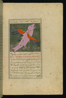 A Large, Winged Fish