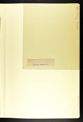 p. 33