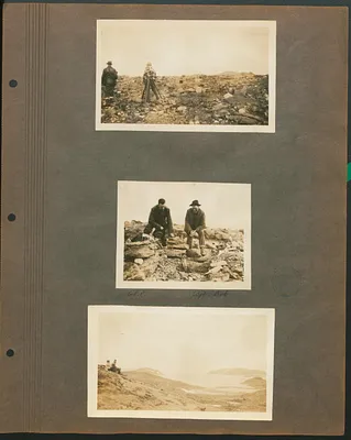 p. 5