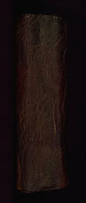 p. 7