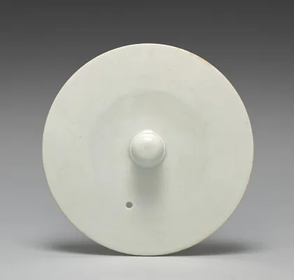 Lid for a Sake Pourer