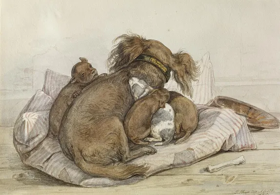 Spaniel With Puppies