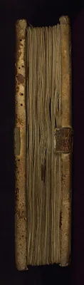 Binding from Synonyms of Isidore of Seville
