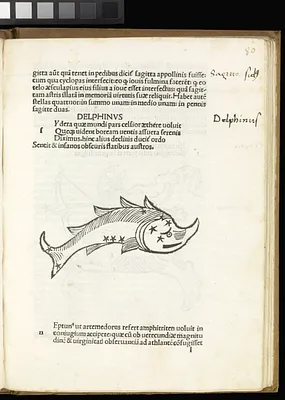 p. 58