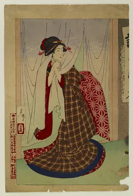 Woman Going Through Noren Curtains