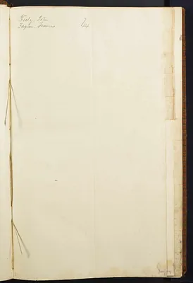 p. 7