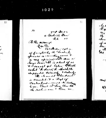 p. 51